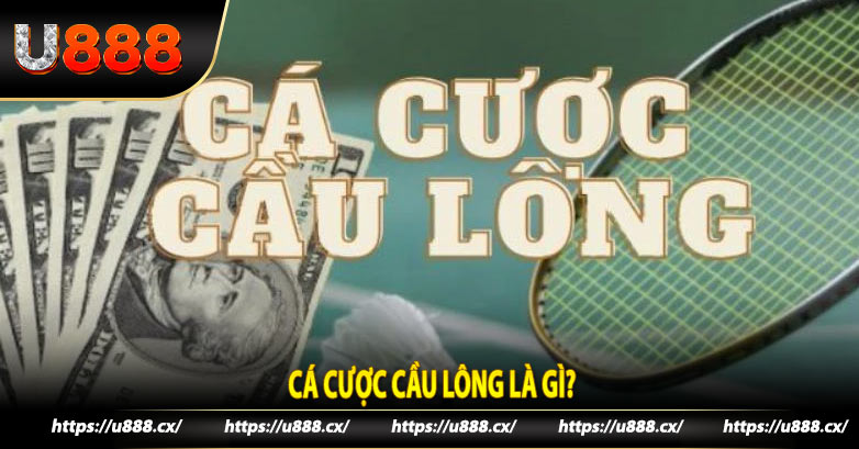 Cá cược cầu lông là gì?