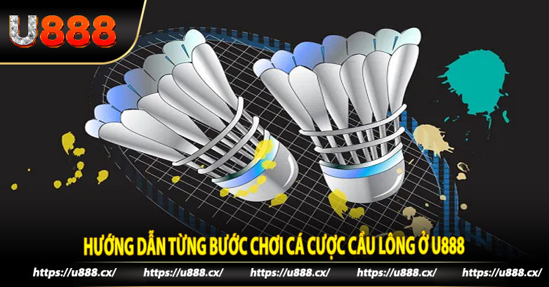 Hướng dẫn từng bước chơi cá cược cầu lông ở U888