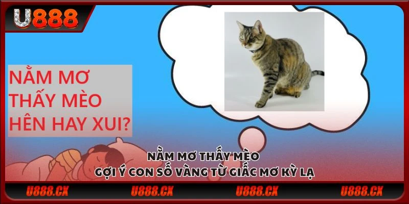 Nằm mơ thấy mèo - Gợi ý con số vàng từ giấc mơ kỳ lạ